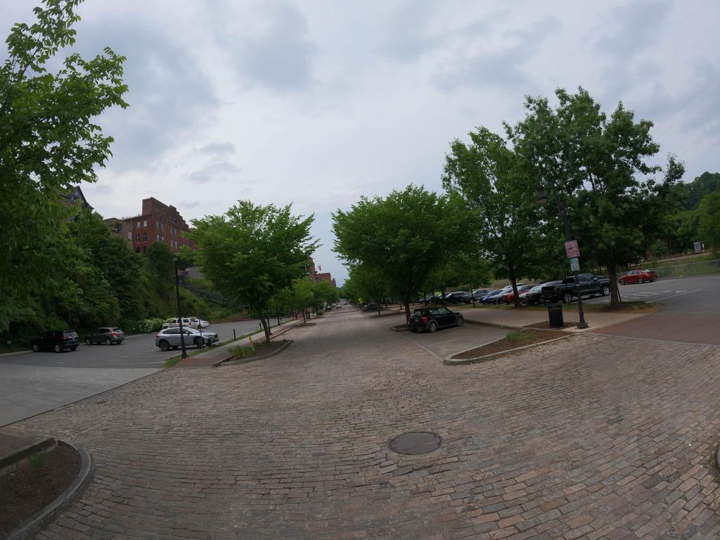 Lower Bluffwalk
