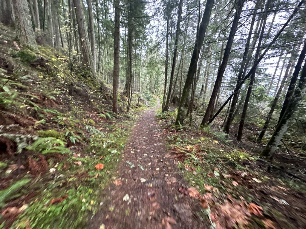 North Lost Lake Trail