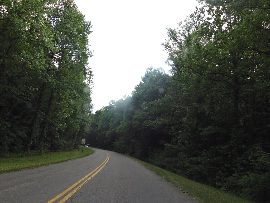 Fighting Creek Nature Trail
