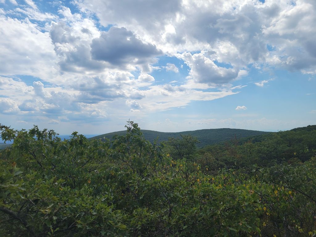 Mt. Frissell