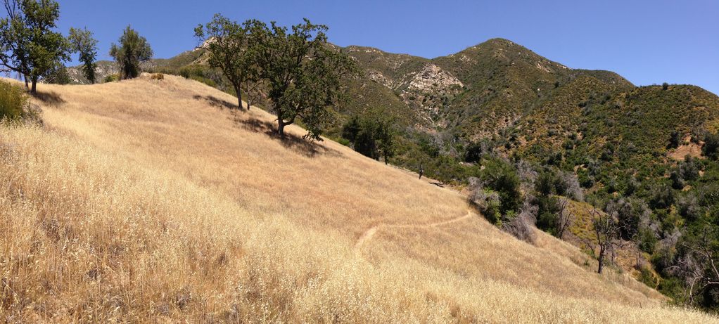 Horse Pasture Trail