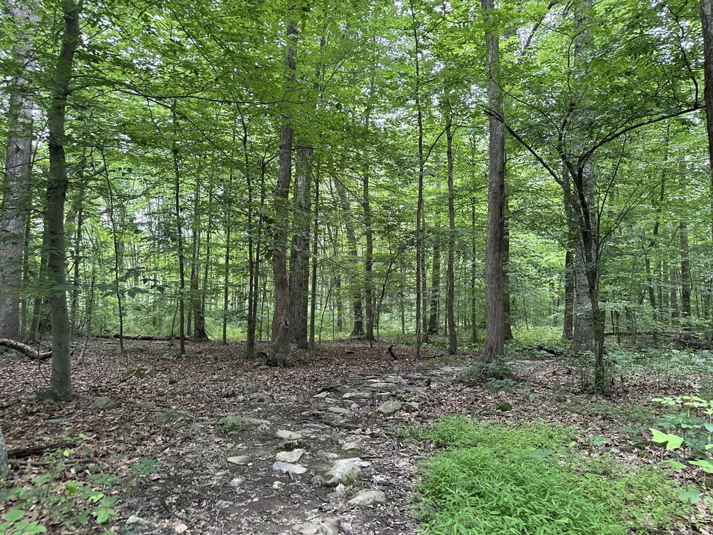 Fox Hill Trail