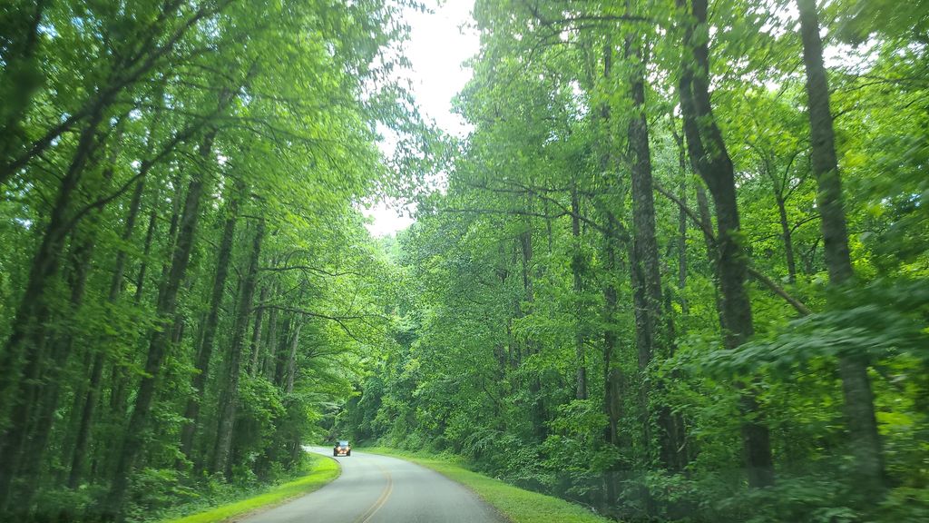 Shut-in Trail