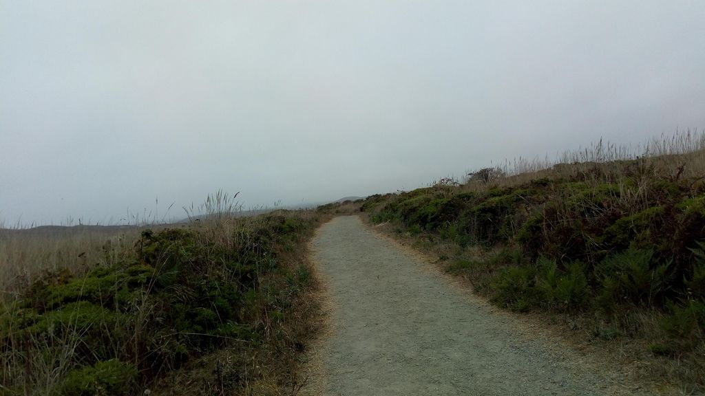 Abbotts Lagoon Trail