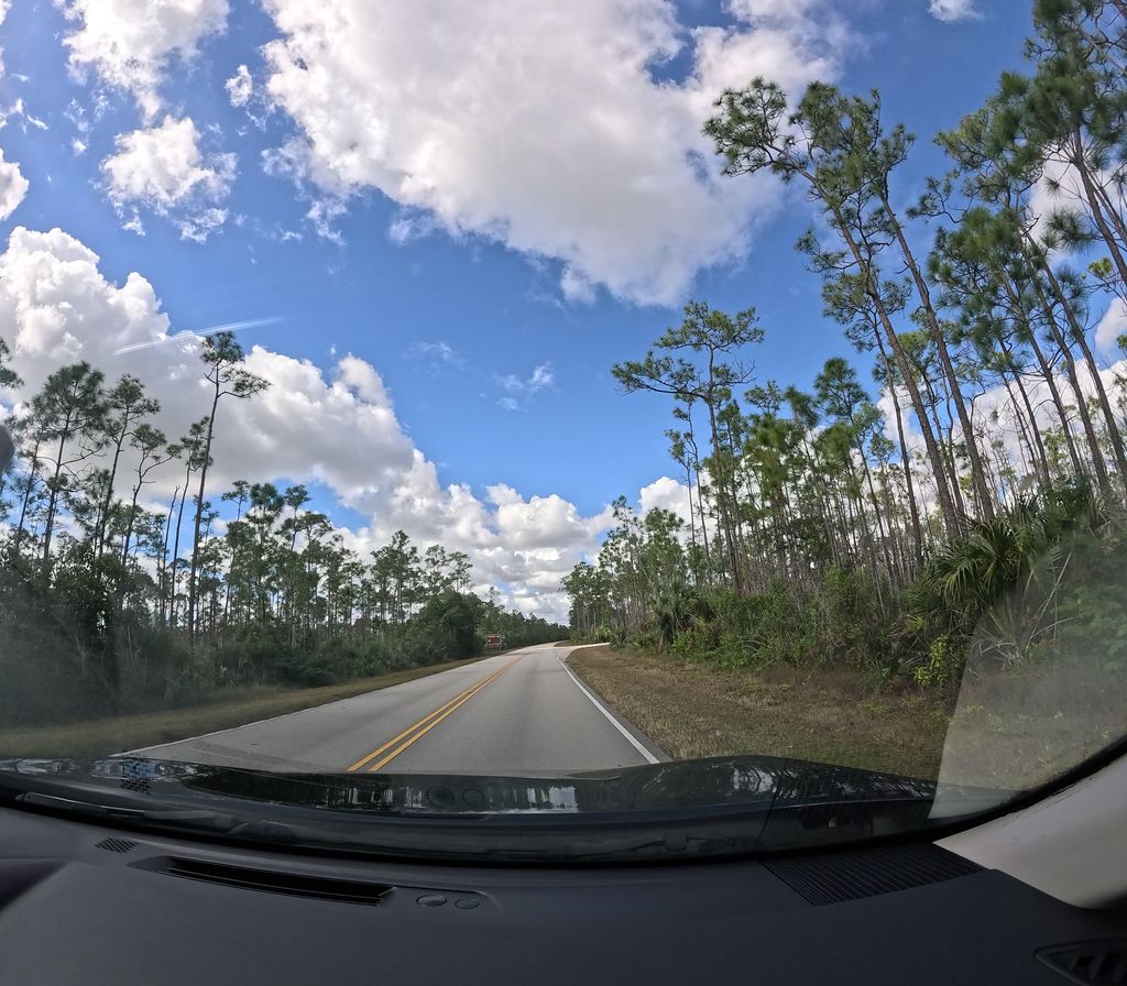 Pinelands Trail