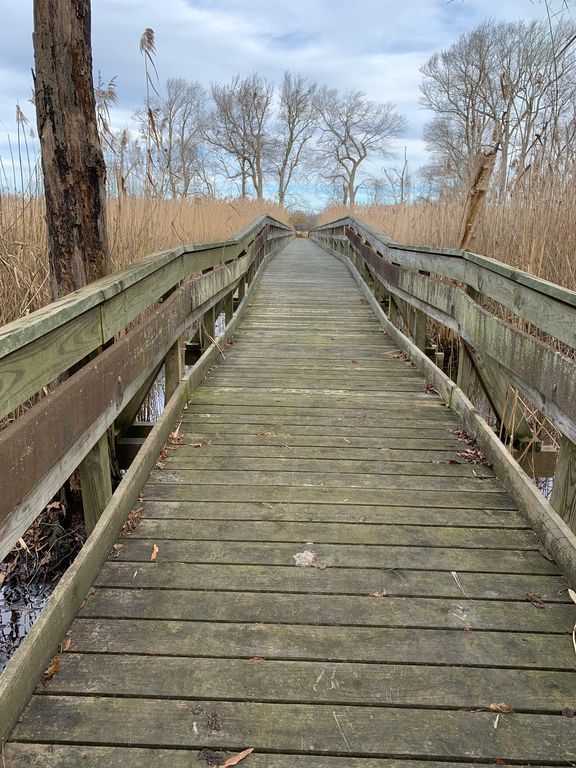 St. Jones Reserve Trail