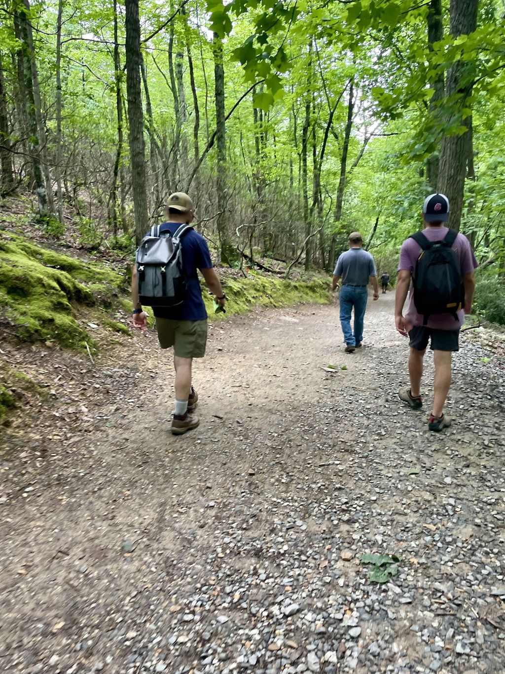 Hanging Rock Trail