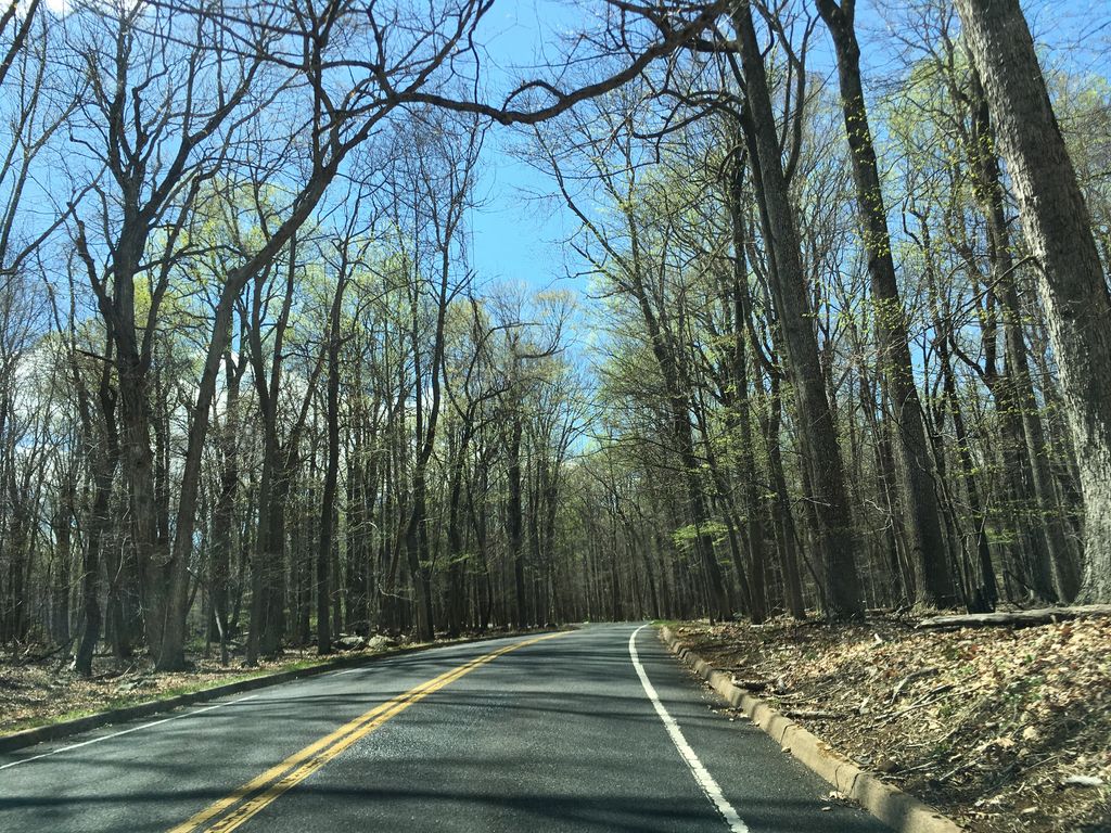 Hog Rock Nature Trail