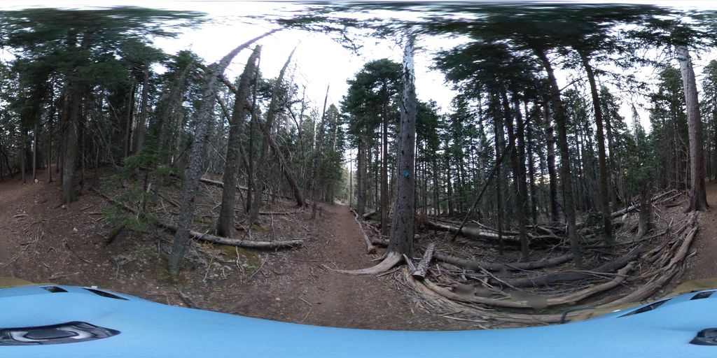 Kiwanis Cabin Loop from the Crest
