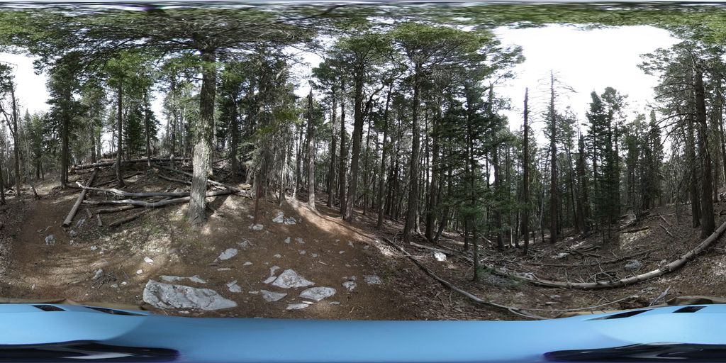 10k Trail South