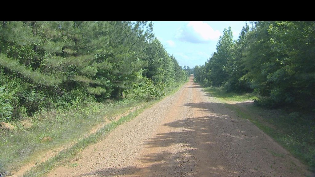 Gum Springs Horse Trail, Yellow Loop