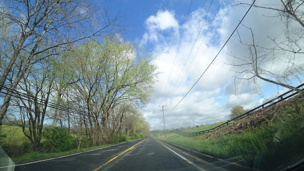 Meadow Loop