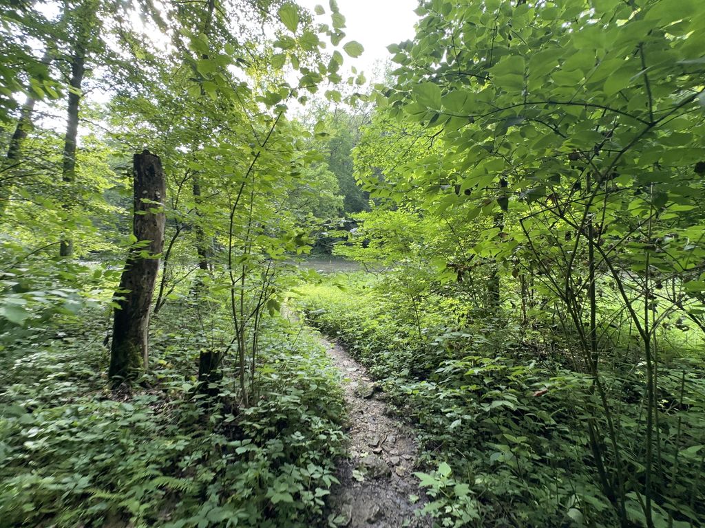 South Gorge Trail