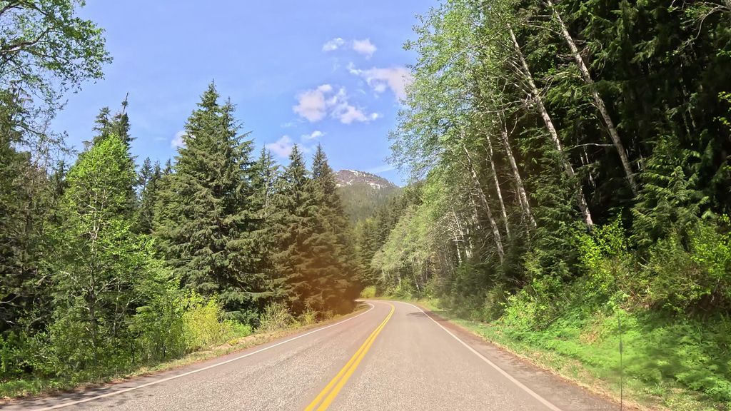 Barlow Point Trail