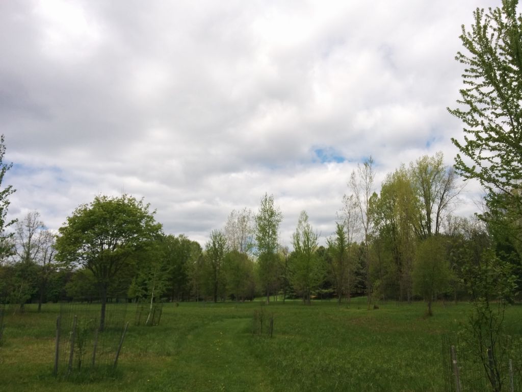 Wood Duck Trail