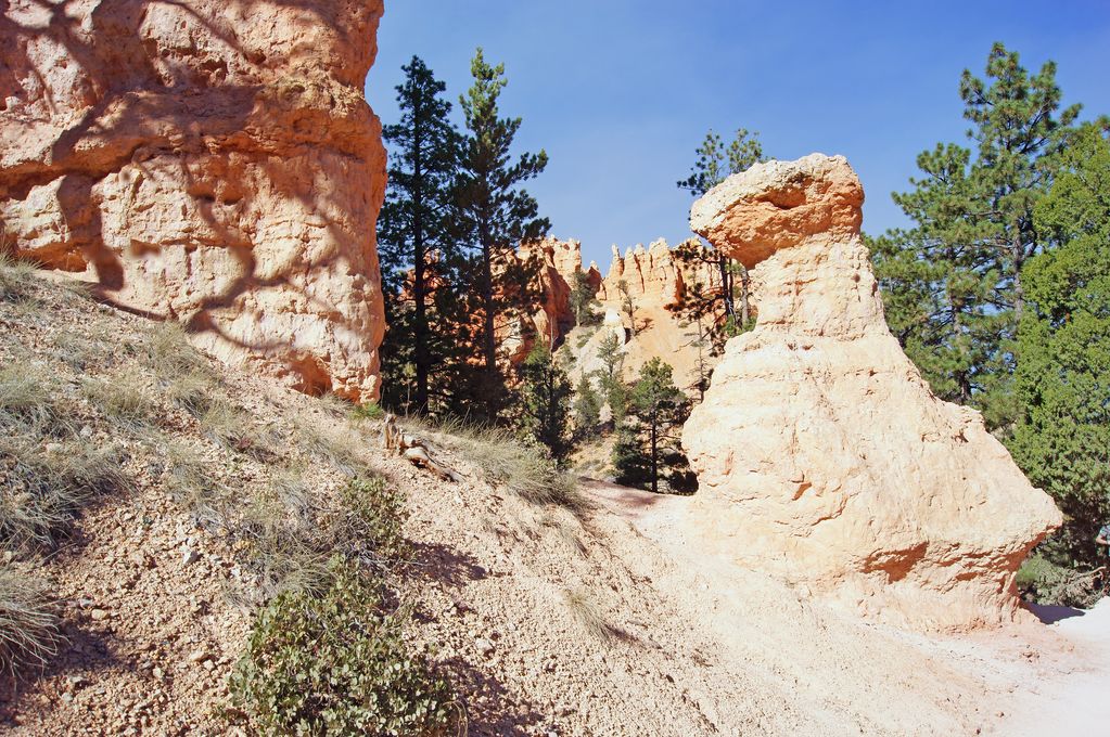 Navajo Loop Trail