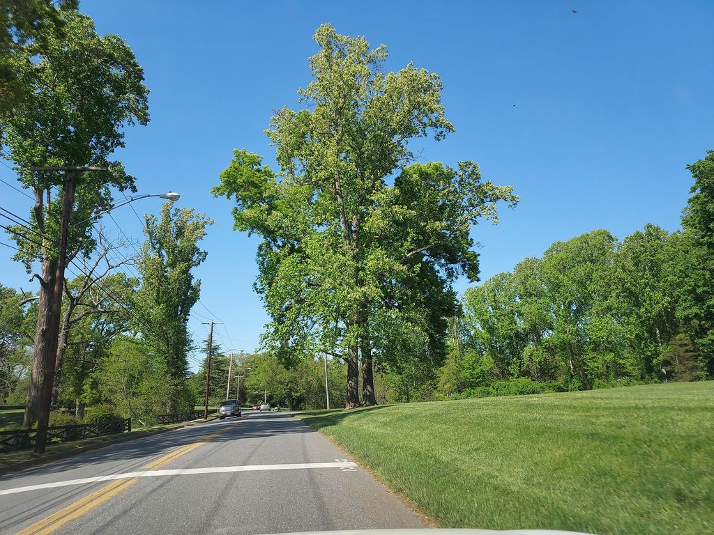 Creekside Trail