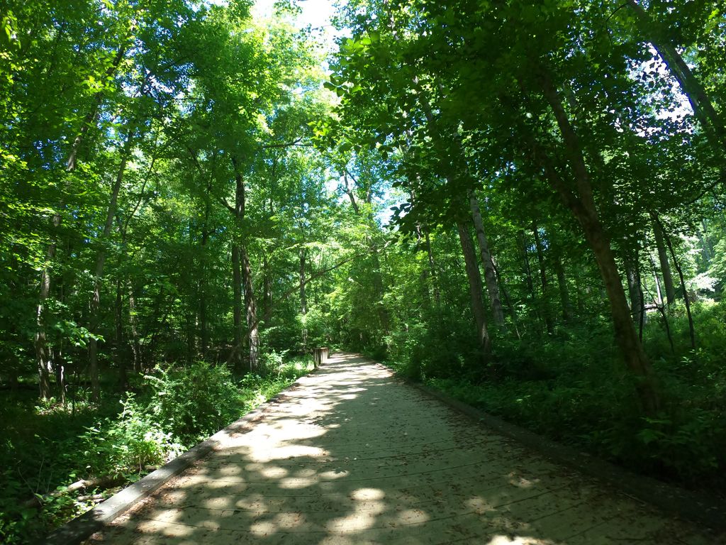Black Hill Trail