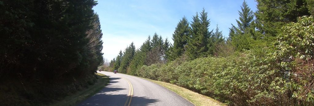 Waterrock Knob Trail