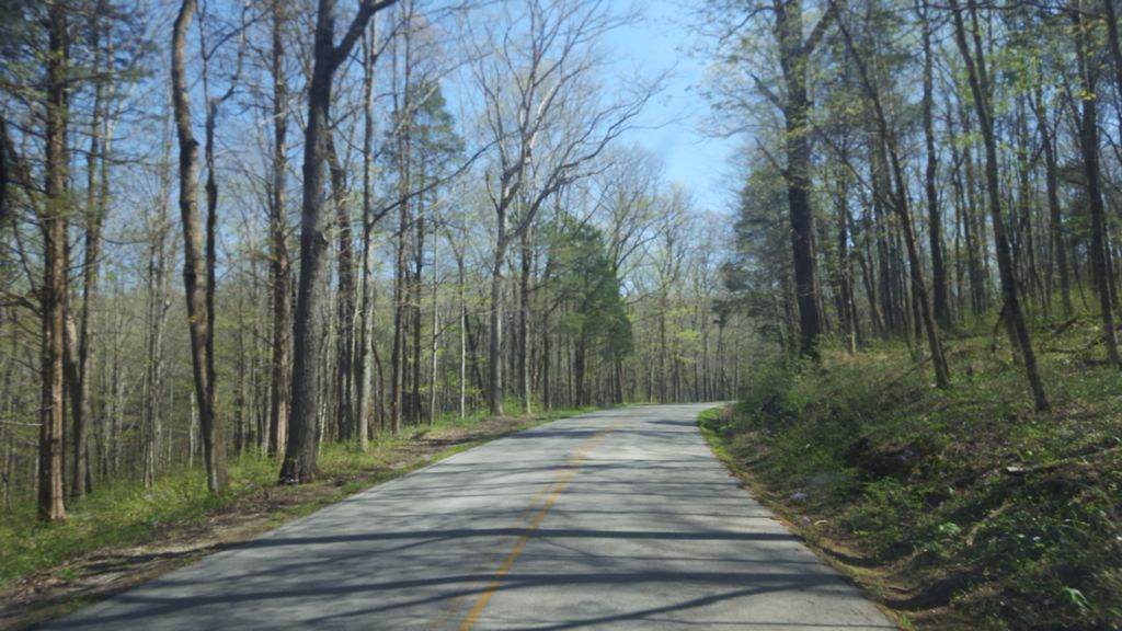 Sinkhole Trail