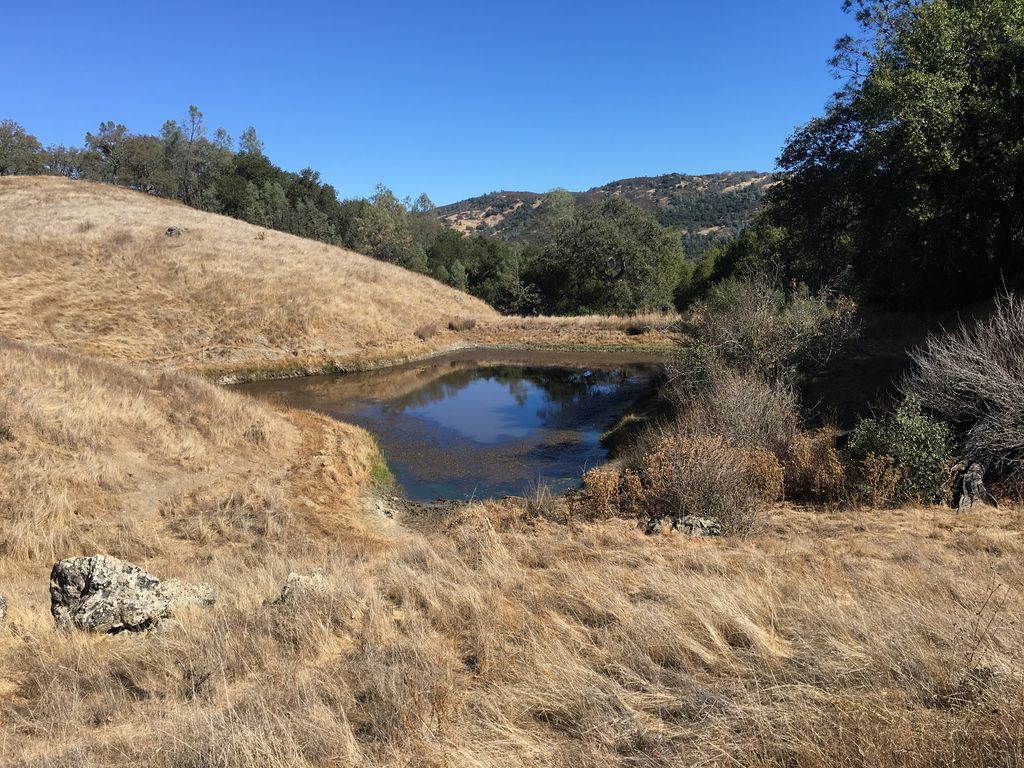 Lost Spring Camp