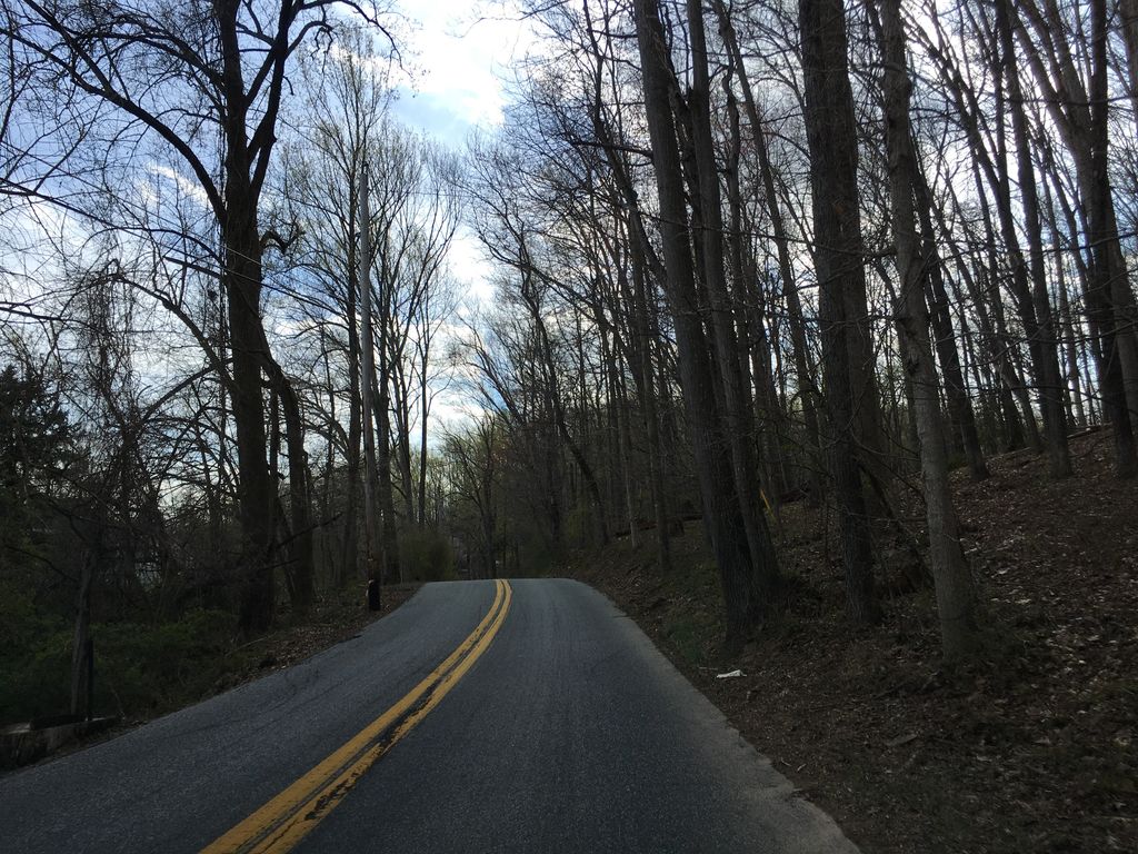 S. James Campbell & Ivy Hill Trail