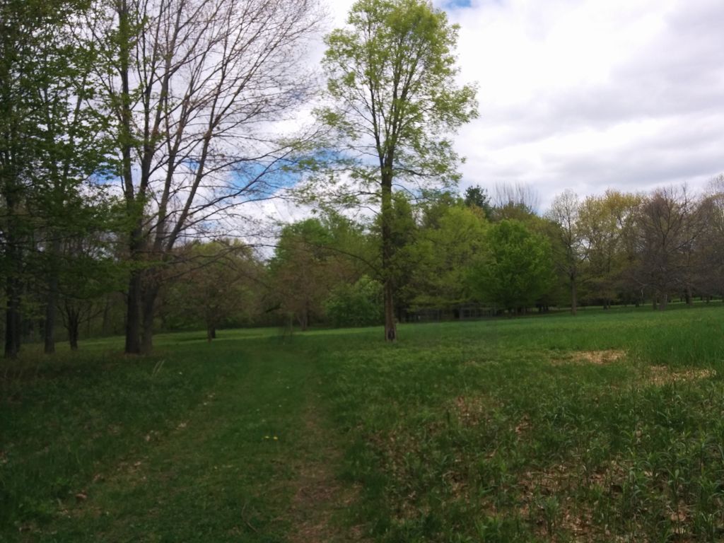 Arboretum Trail