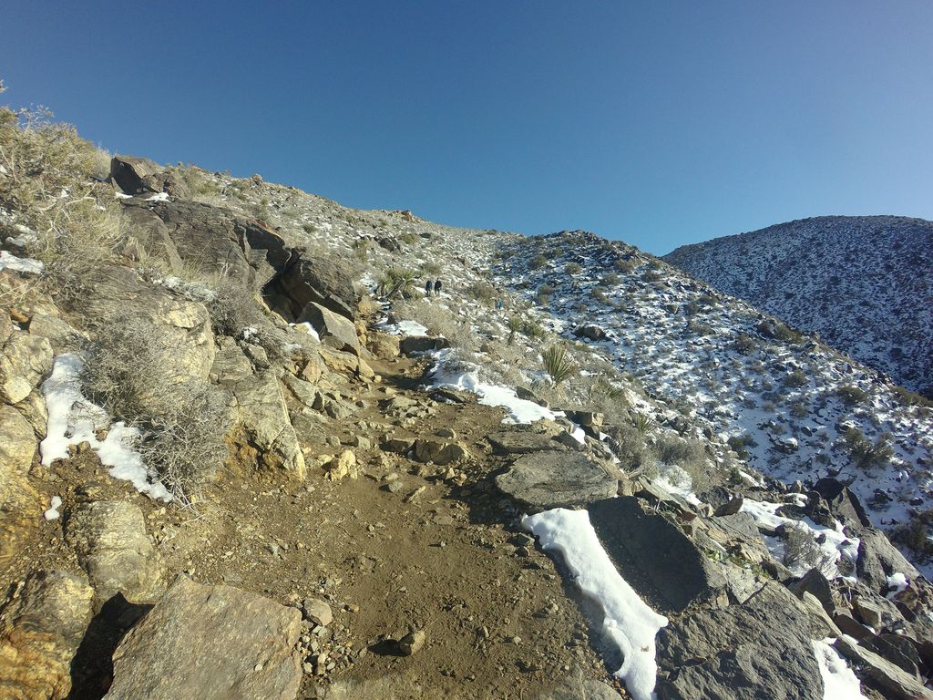 Ryan Mountain Trail