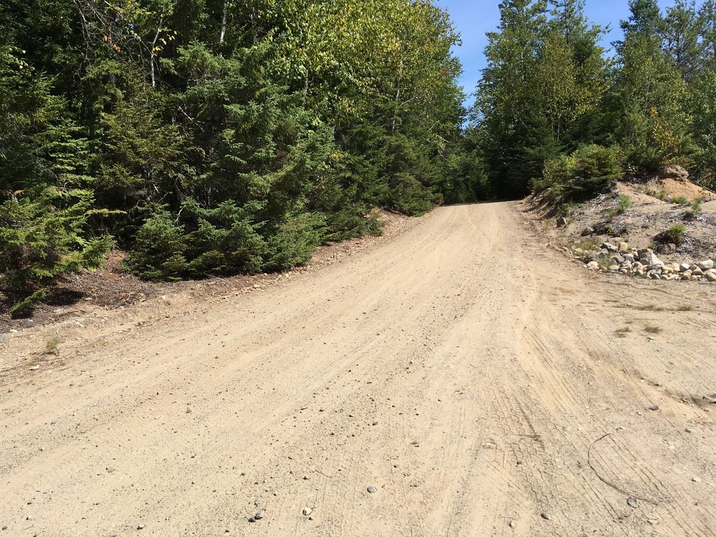 Sandbank Flowage Walk