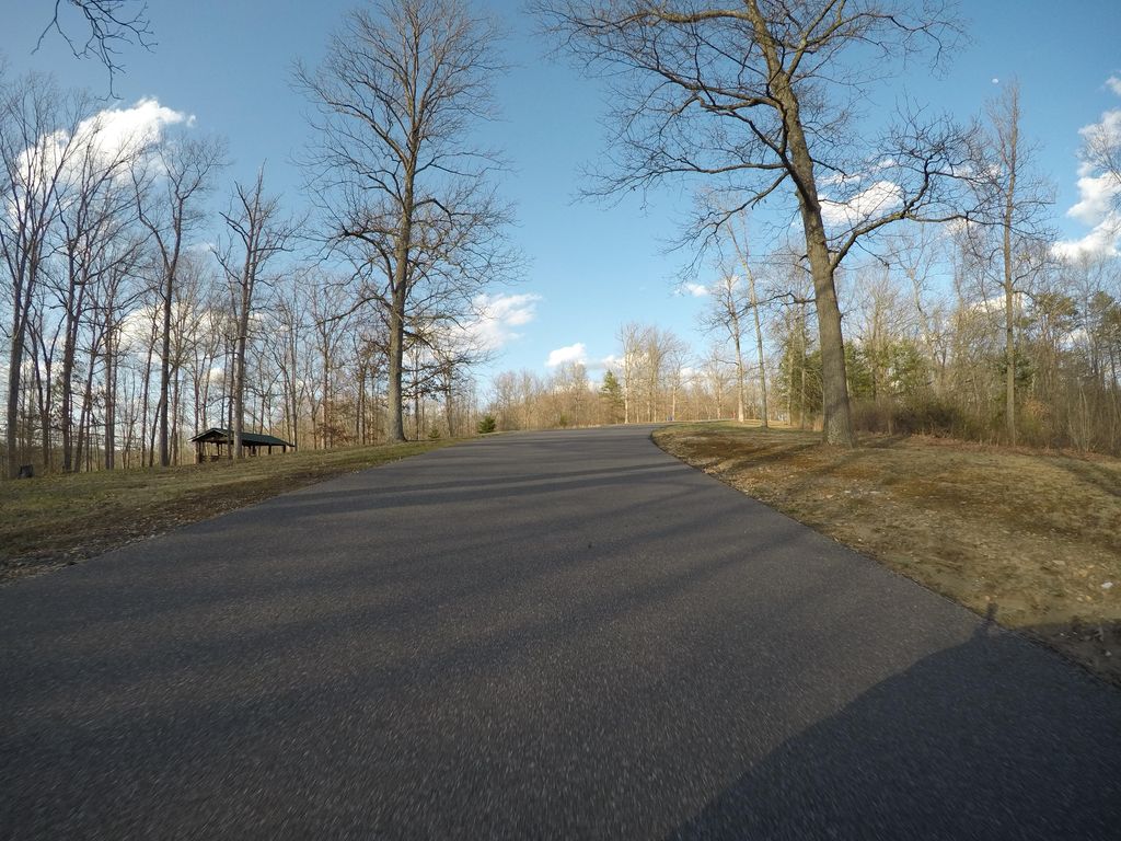 Turtle Trail