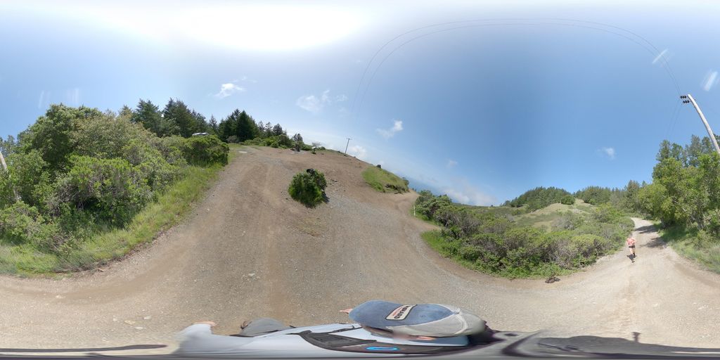 Dipsea Trail
