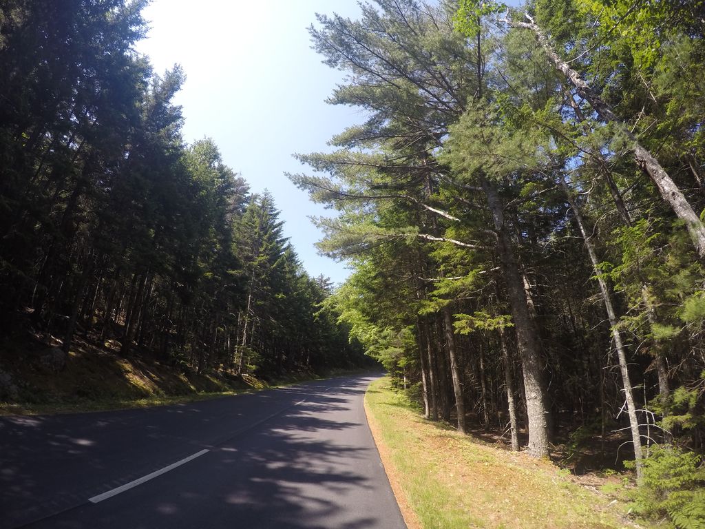 Triad Trail