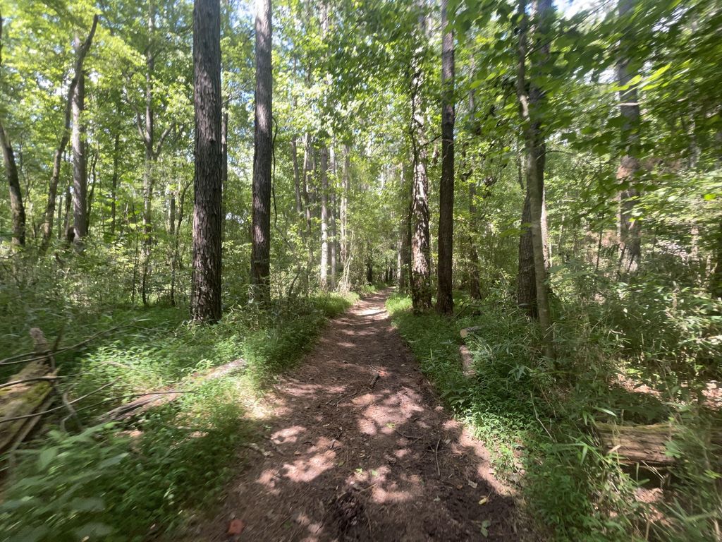 Creek Loop