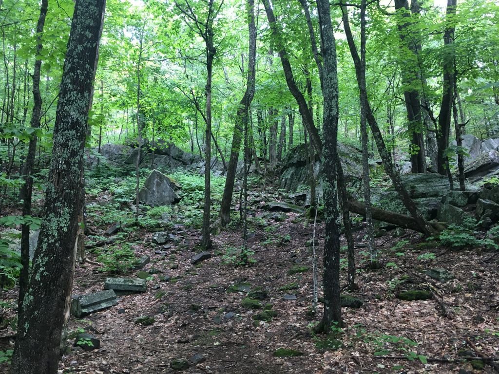 Turtleback Mountain Trail