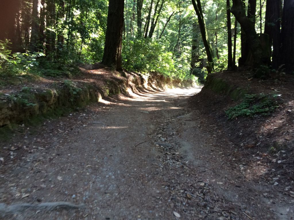 Ox Fire Road