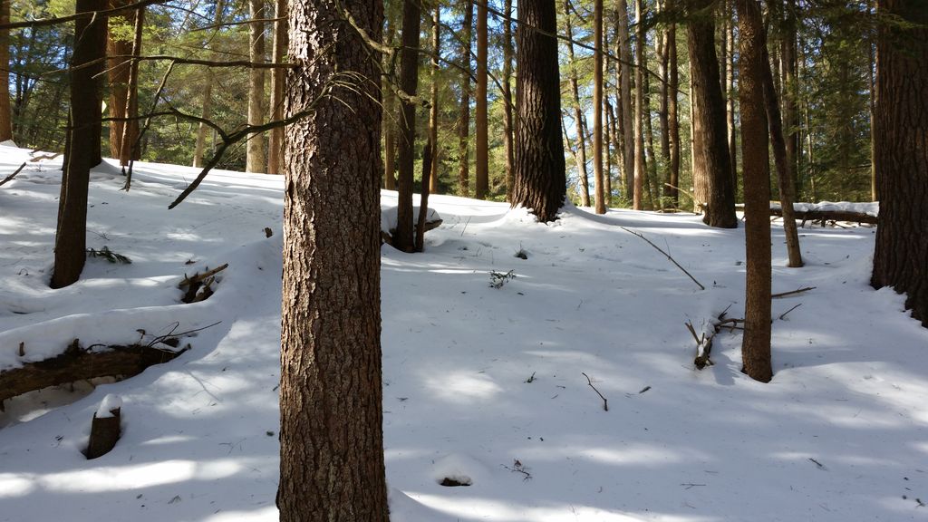 Winter Park Hiking