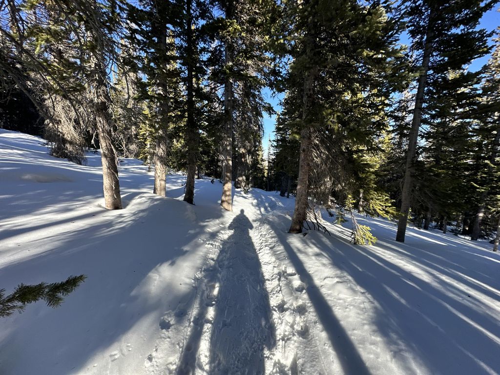 Emerald Lake Trail