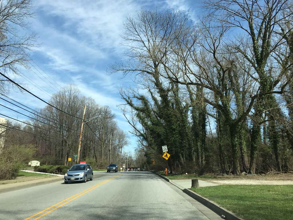Sacred Grove Trail