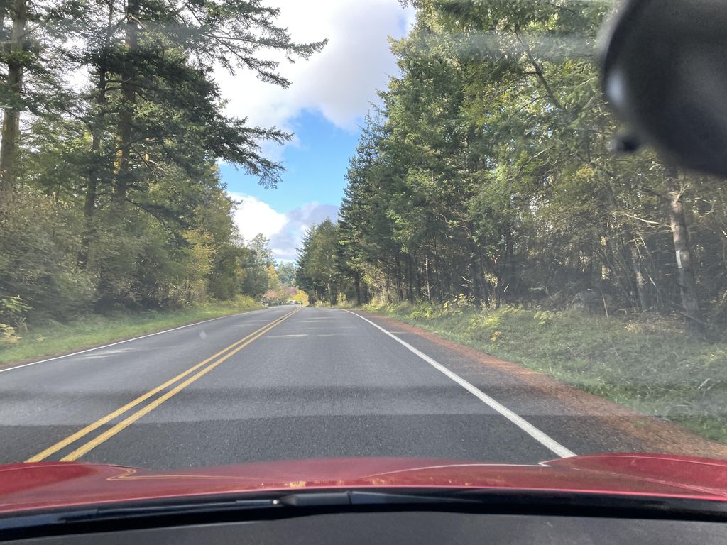 American Camp Trail