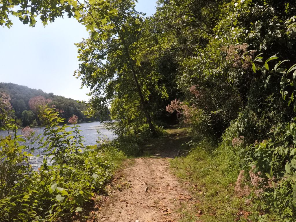 White Oak Trail