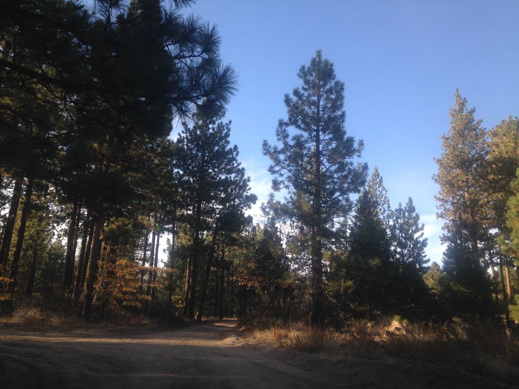 Santa Ana River Trail