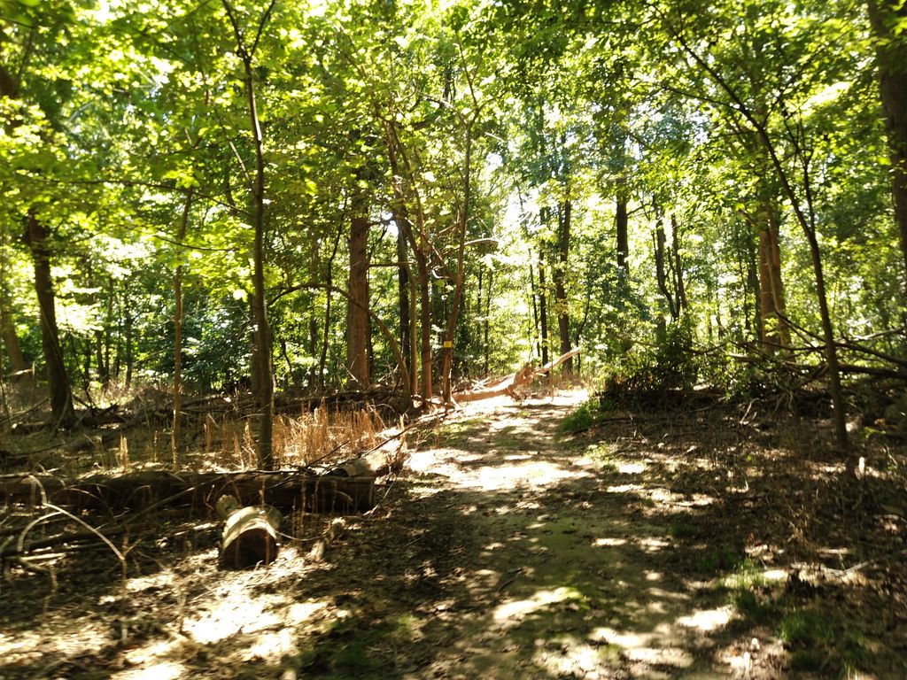 Parkers Creek Loop