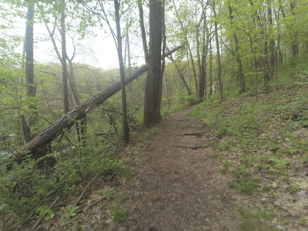 Ski Trail