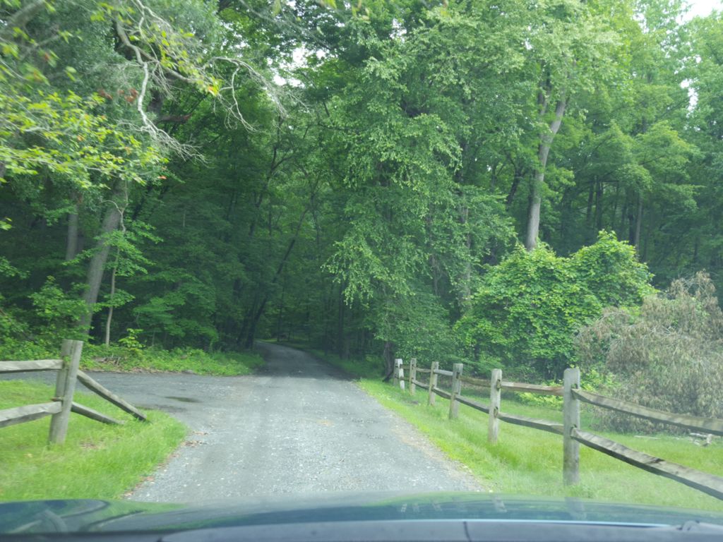 Middle Trail
