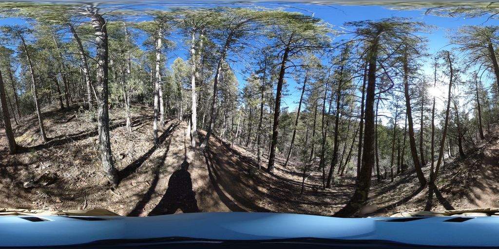 Doc Long/Sulphur Link Trail
