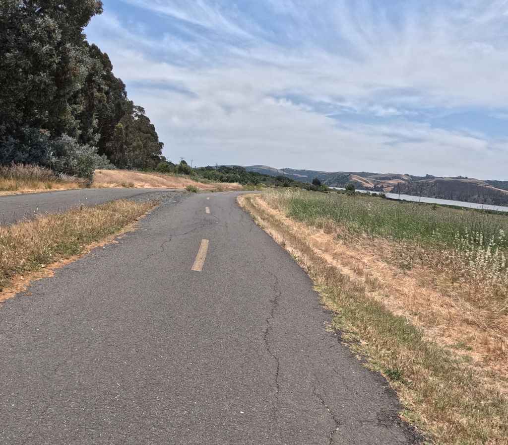 Bay Area Ridge Trail