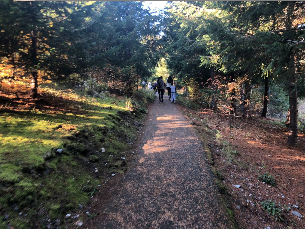 Gold Creek Pond Trail