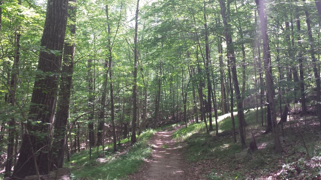 Blue Trail