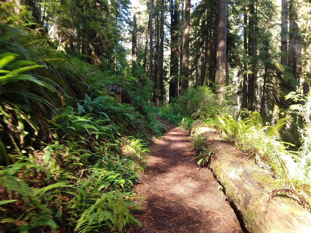 James Irvine Trail
