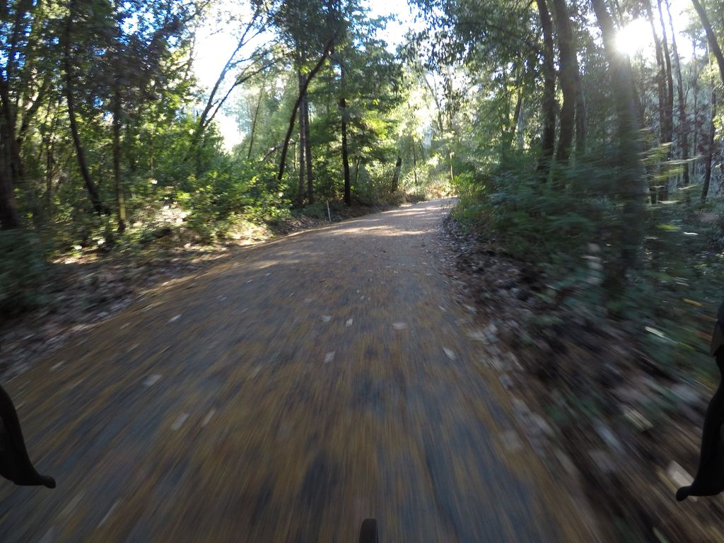 Ridge Fire Road